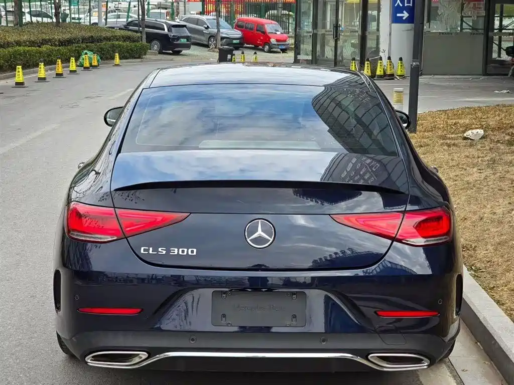 Mercedes-Benz CLS 2021 CLS 300 Luxury фото 4