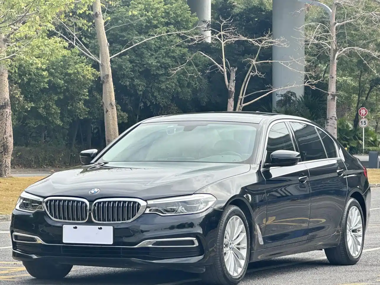 BMW 5 Series 2020 530Li Leading Luxury Package