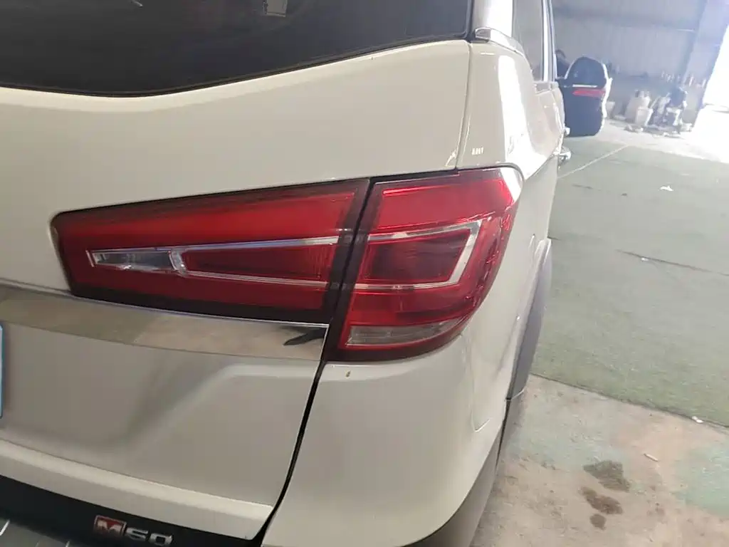 Фото 24 - BAIC Weiwang BAW Weiwang M60