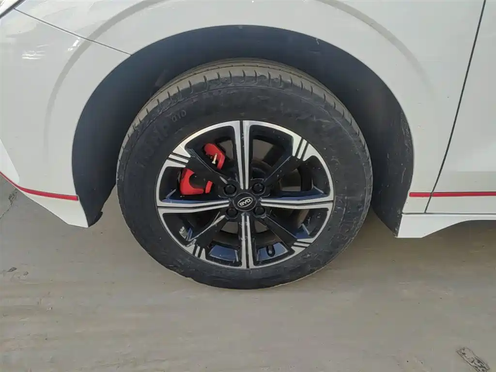 BYD e2 2020 Upgraded Long Range Luxury фото 23