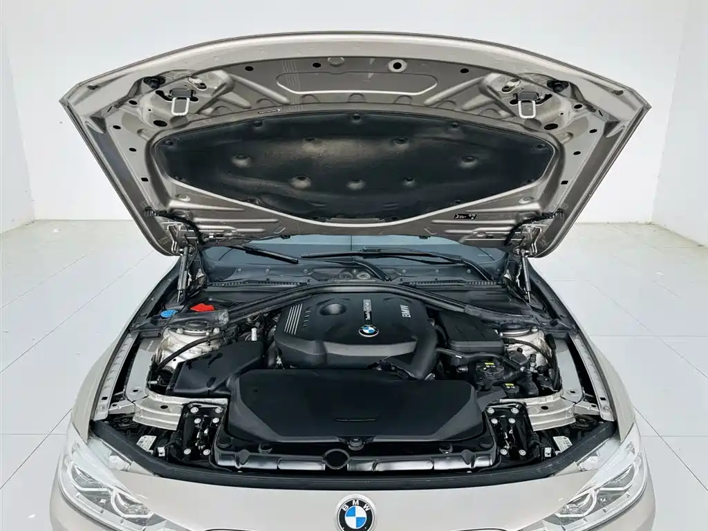 BMW 3 Series 2019 320Li Fashion Type фото 25