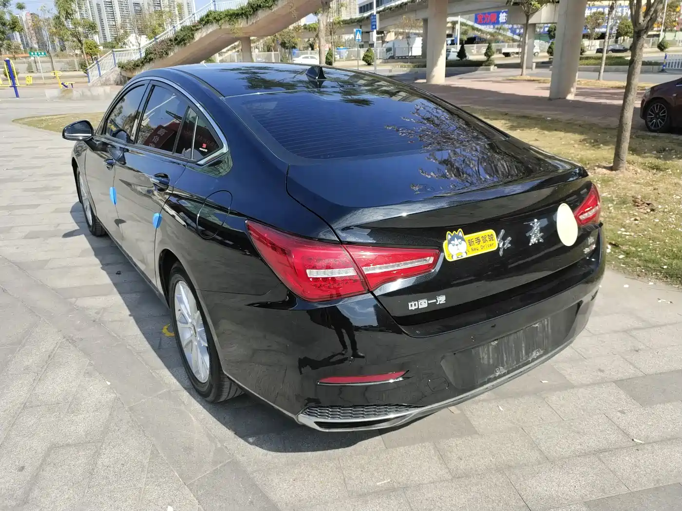 صورة 12 - Hongqi H5