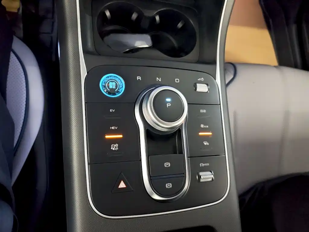BYD Destroyer 05 2024 Glory Edition DM-i 55KM Luxury фото 14