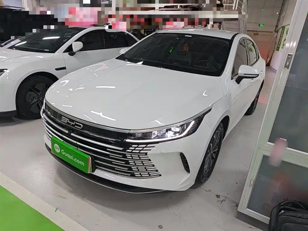 BYD Destroyer 05 2024 Glory Edition DM-i 55KM Luxury фото 2