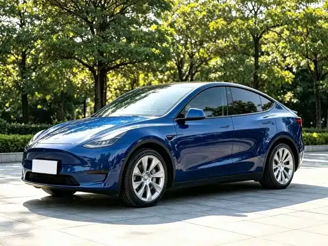 Tesla Model Y Увеличенный запас хода, полный привод