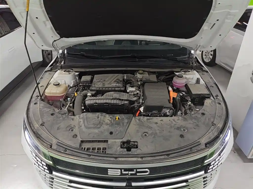 BYD Destroyer 05 2024 Glory Edition DM-i 55KM Luxury фото 20