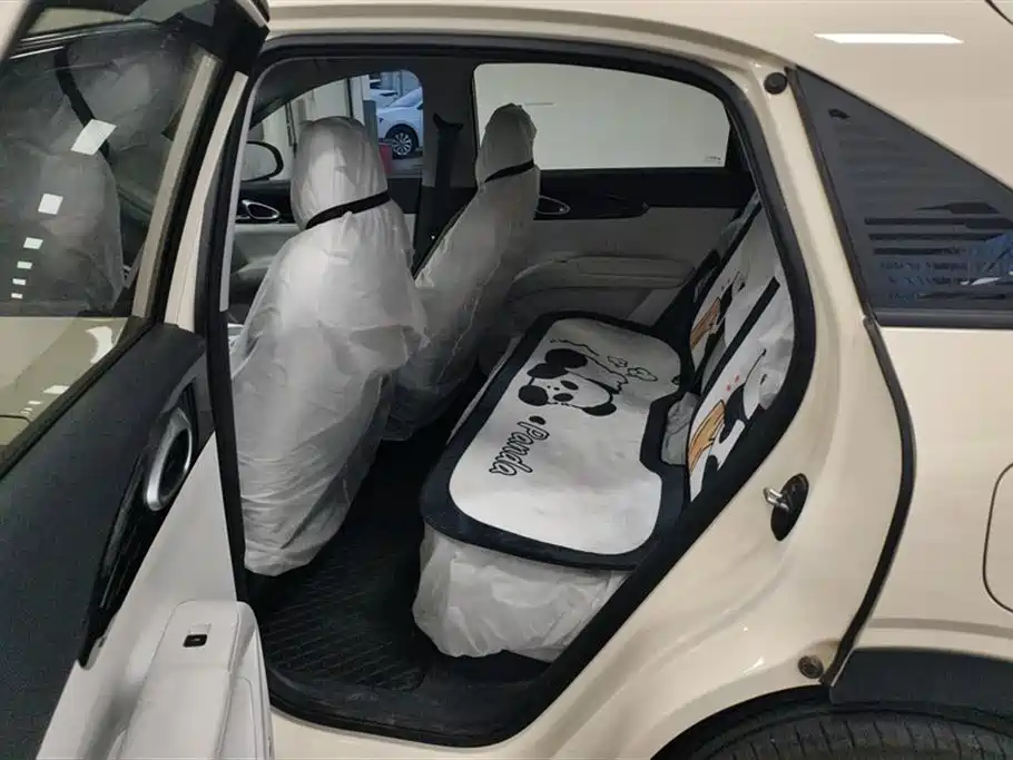 Geely Galaxy Starry Wish 2025 310km Youth Edition фото 11