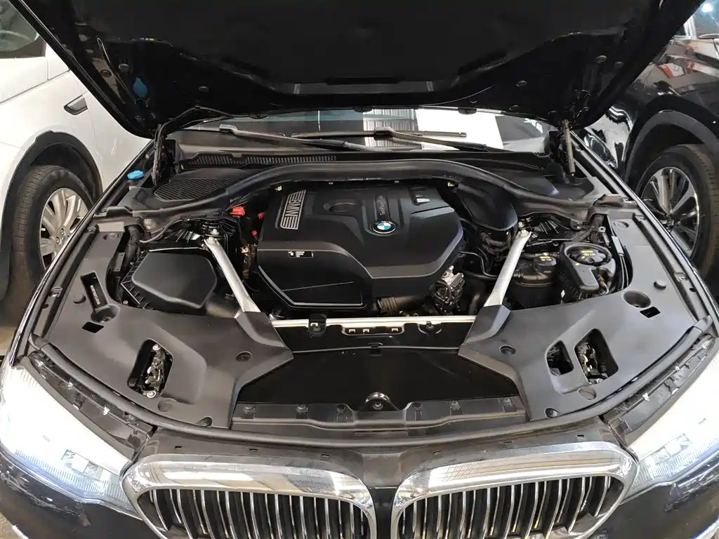 BMW 5 Series 2019 525Li Luxury Package фото 10