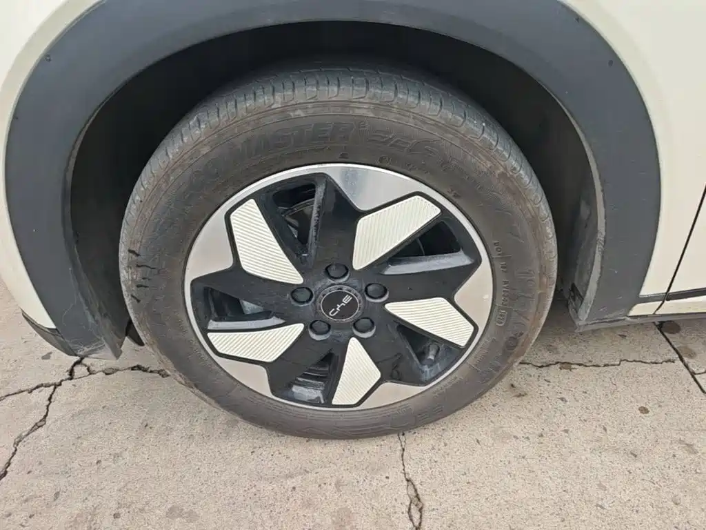 BYD Dolphin 2026 2025 420km Freedom Edition