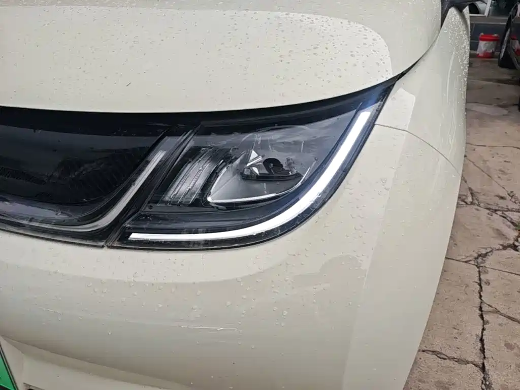 BYD Dolphin 2026 2025 420km Freedom Edition
