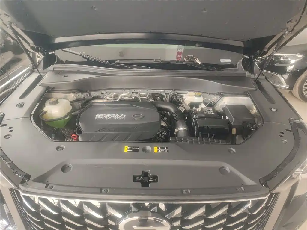 GAC Trumpchi Trumpchi GS8 2024 Navigator Series 2.0TGDI 2WD Luxury Smart Connect Edition фото 20