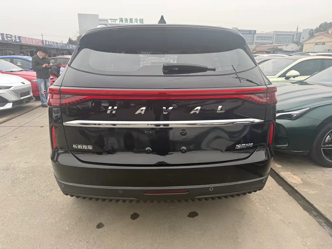 HAVAL H6