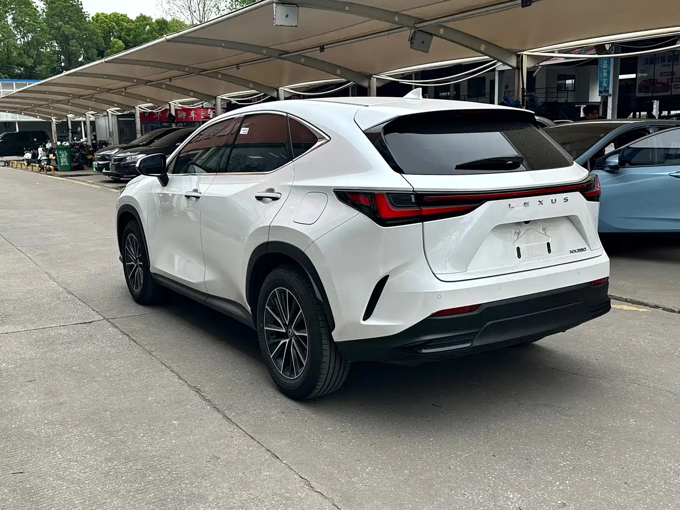LEXUS NX