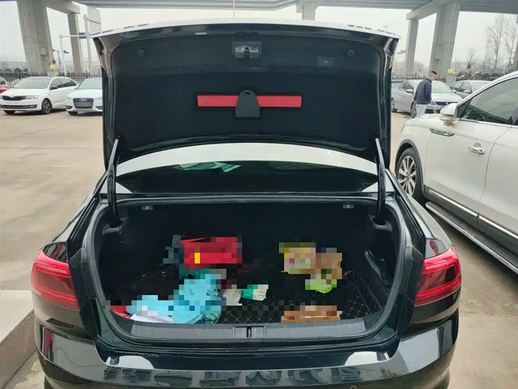 Volkswagen Magotan 2020 330TSI DSG Luxury фото 15