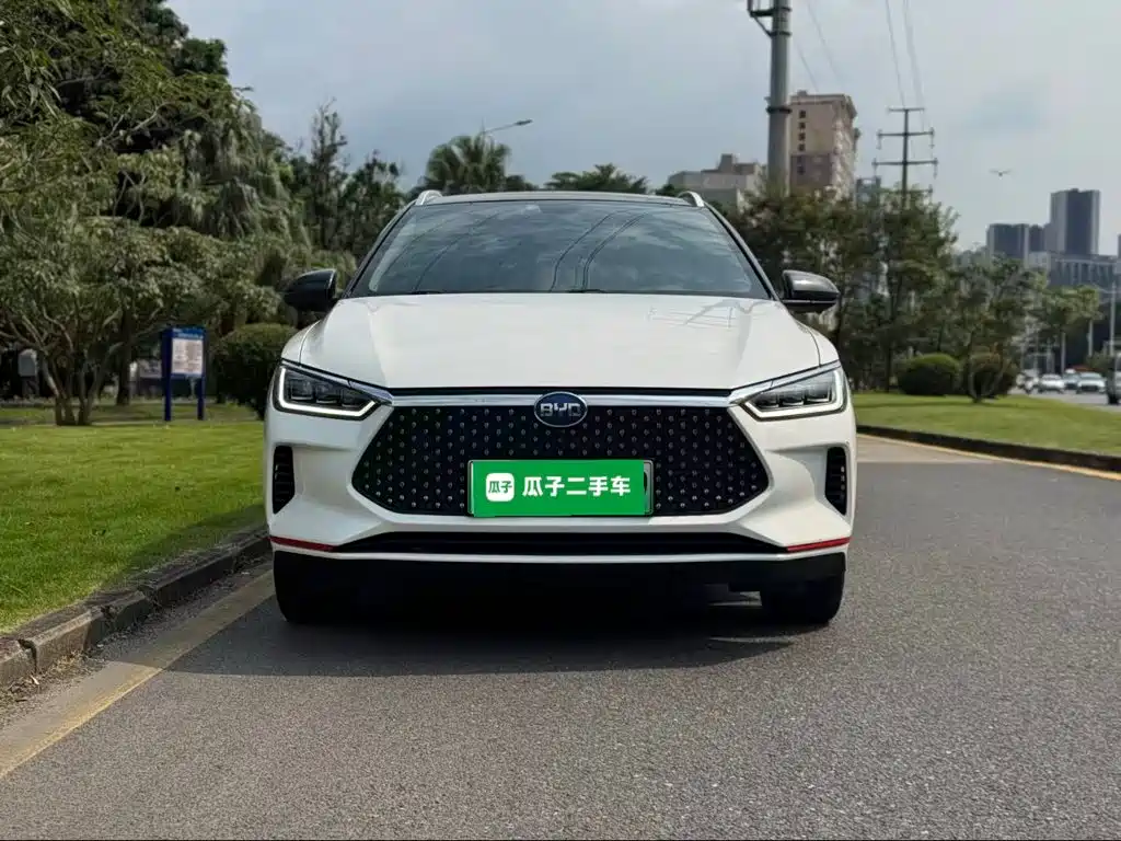 BYD e2 2021 2021 Premium Model