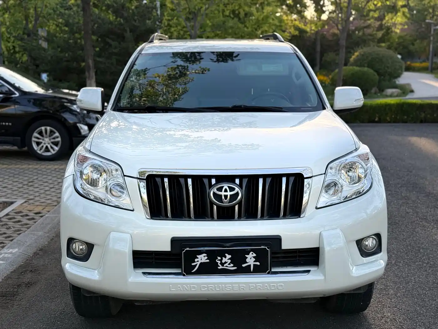 Toyota Prado (Import) 2010 2.7L Automatic Standard фото 2
