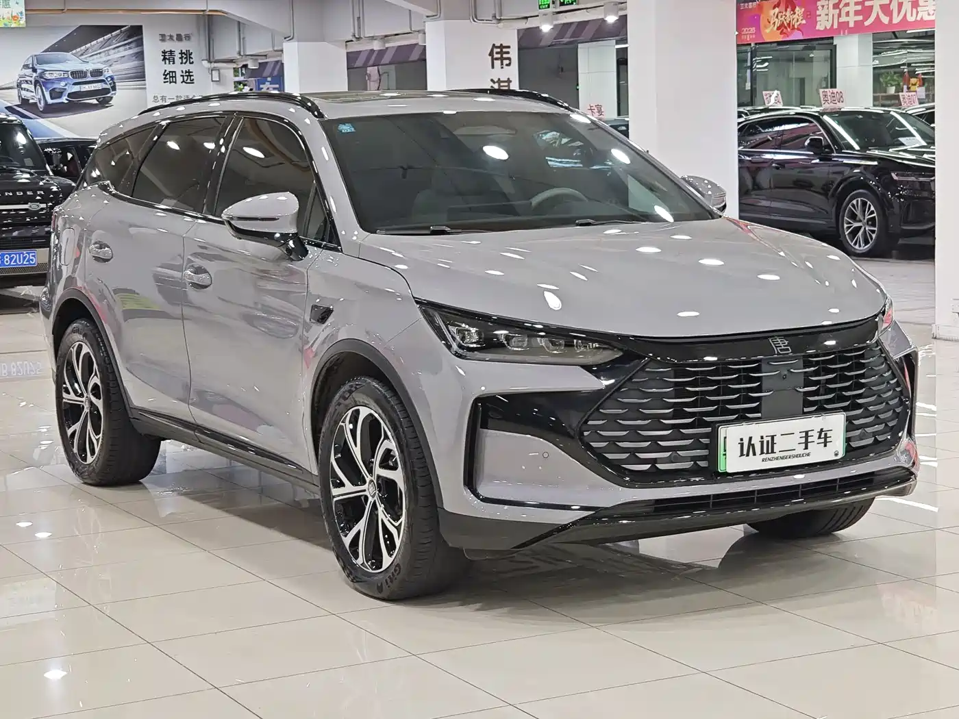 BYD Tang New Energy 2025 Smart Driving Edition DM-i 115KM Premium фото 5