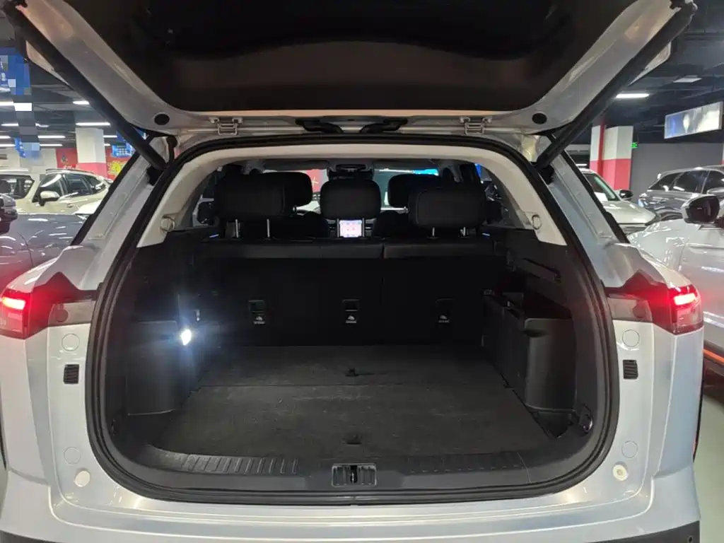 Chery Tansuo 06 2024 2023 Urban Edition 1.6T 2WD Luxury