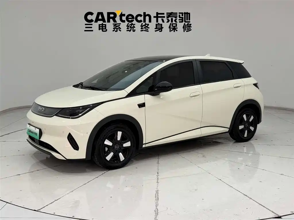 BYD Dolphin 2025 Smart Drive Edition 410km Fashion Version