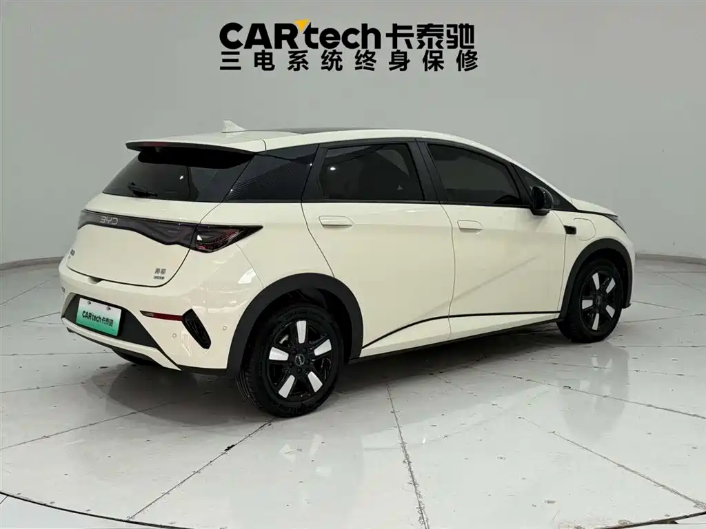 BYD Dolphin 2025 Smart Drive Edition 410km Fashion Version фото 11