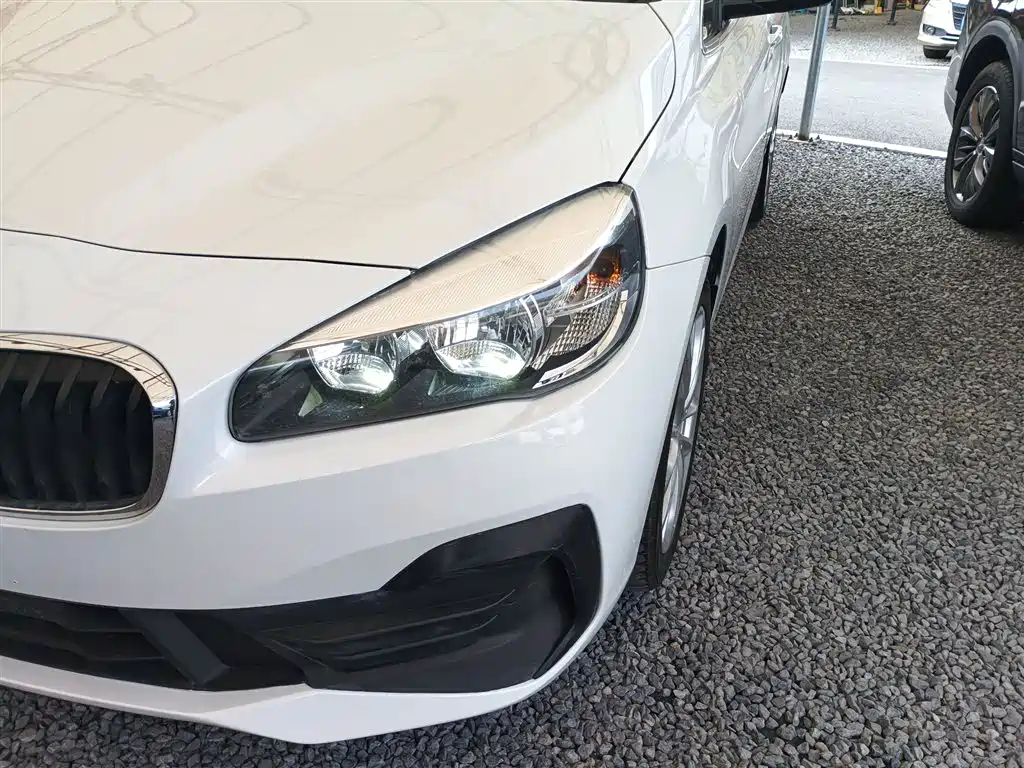 BMW 2 Series Gran Tourer 2019 220i Leading фото 18