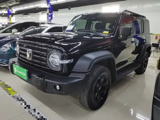 TANK 300