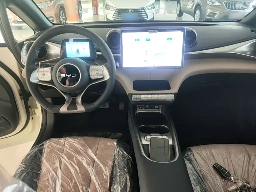 Photo 10 - BYD Dolphin