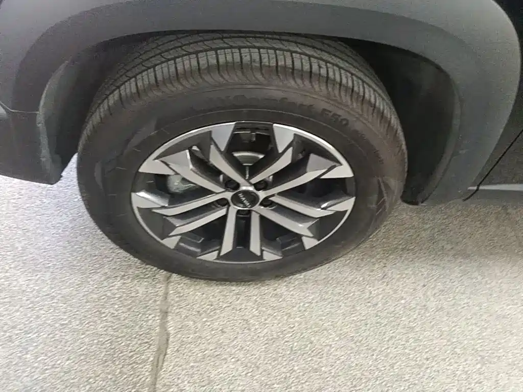 Haval Big Dog 2026 2026 Model 1.5T High Configuration