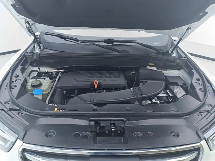 Haval H6 2020 1.5GDIT Automatic Platinum Champion Edition фото 10