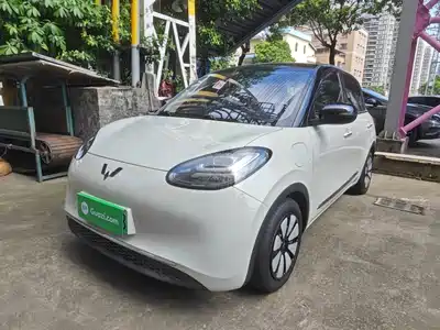 Wuling Bingo