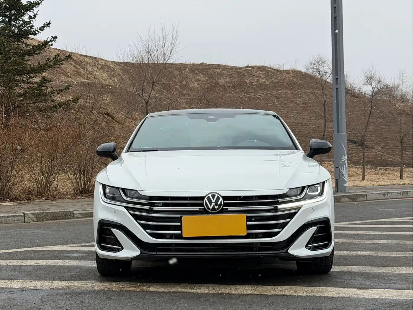 VOLKSWAGEN FAW  CC