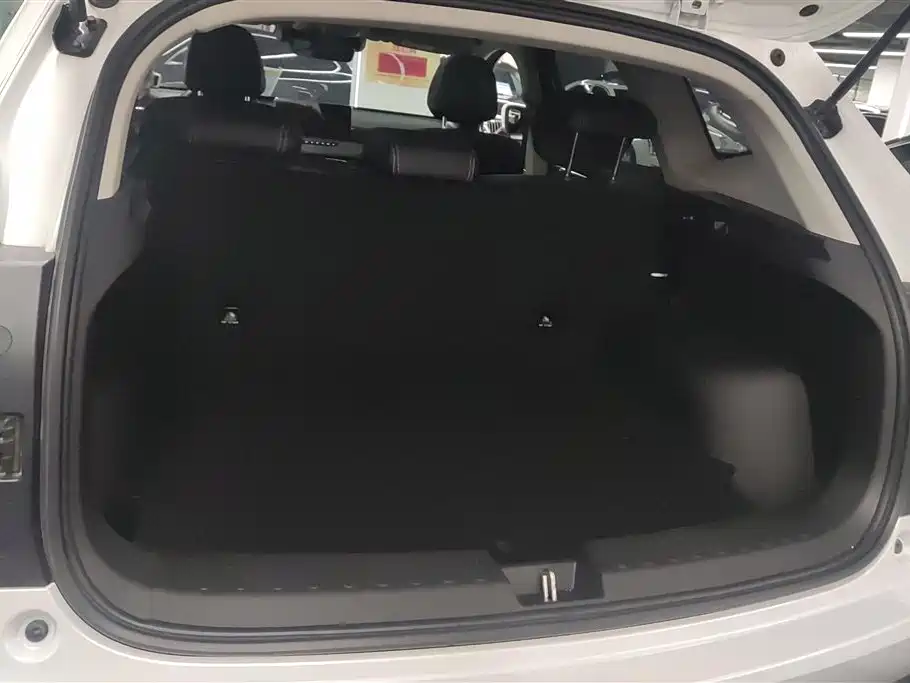 Haval First Love 2021 1.5T Automatic Premium Edition фото 4