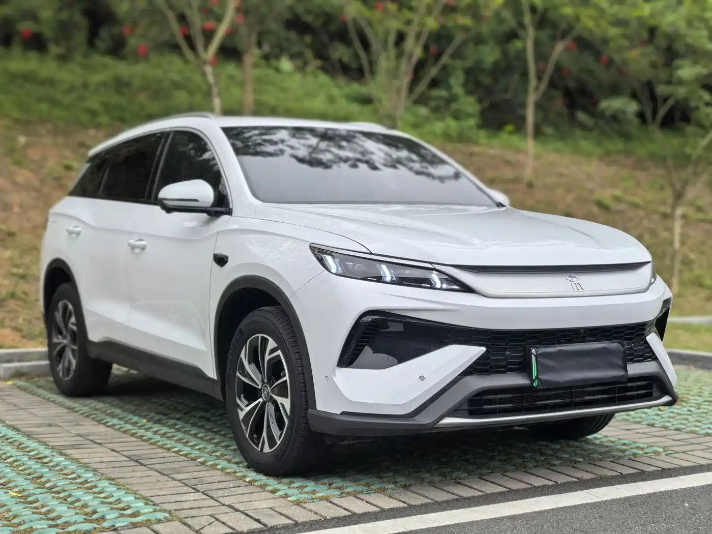 BYD SONGJIANG NEW ENERGY