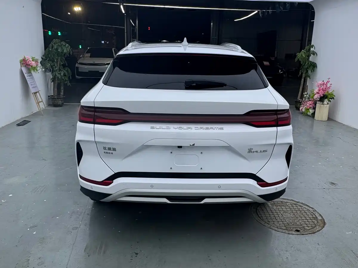 BYD Song PLUS PHEV 2024 Glory Edition DM-i 110km Flagship фото 10