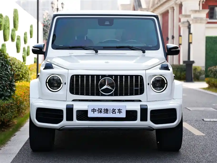 Mercedes-Benz G-Class 2019 G 500 фото 3