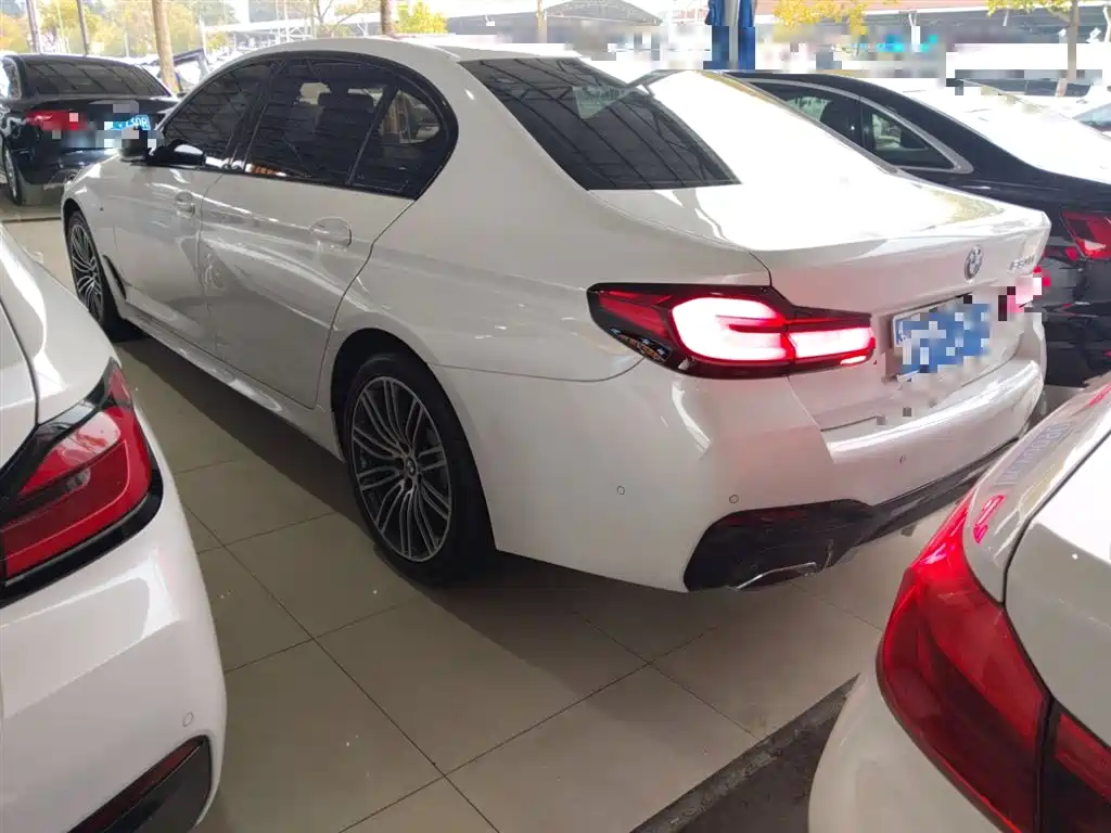 BMW 5 Series 2019 530Li Leading M Sport Package фото 23
