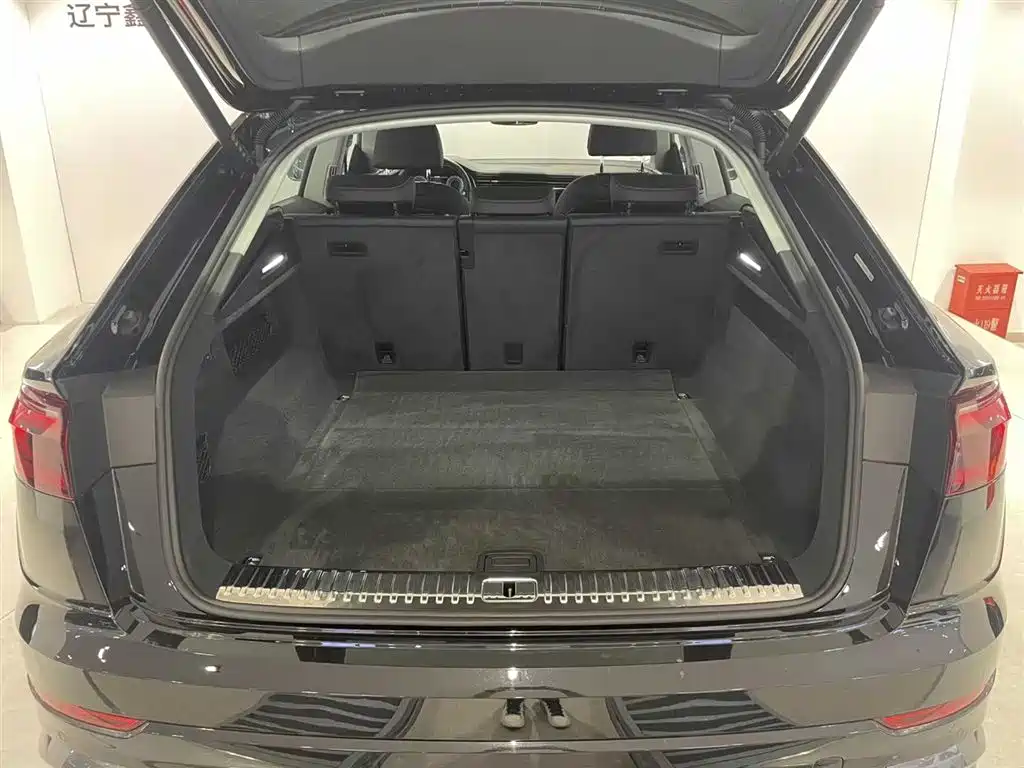 Audi Q8 2025 2024 55 TFSI Luxury Sport
