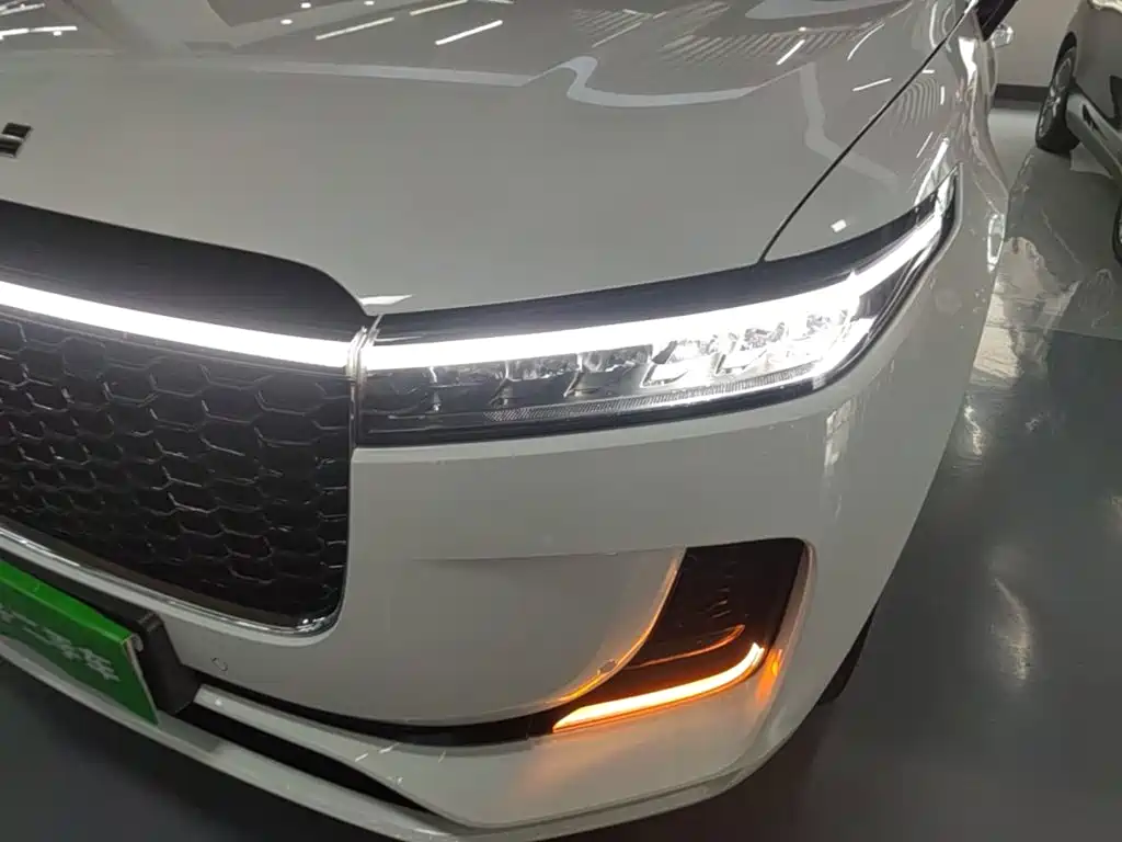 Фото 24 - Li Auto Li ONE