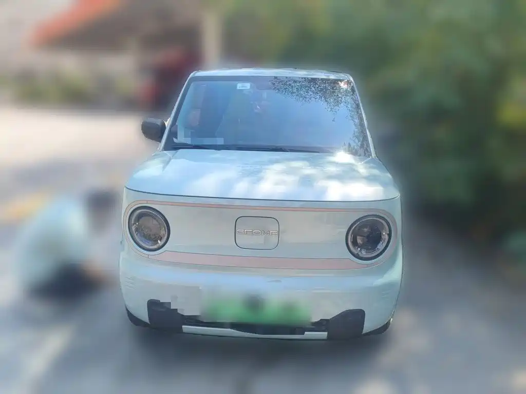 Geely Galaxy Panda 2023 2023 Panda Mini 200km Endurance Bear
