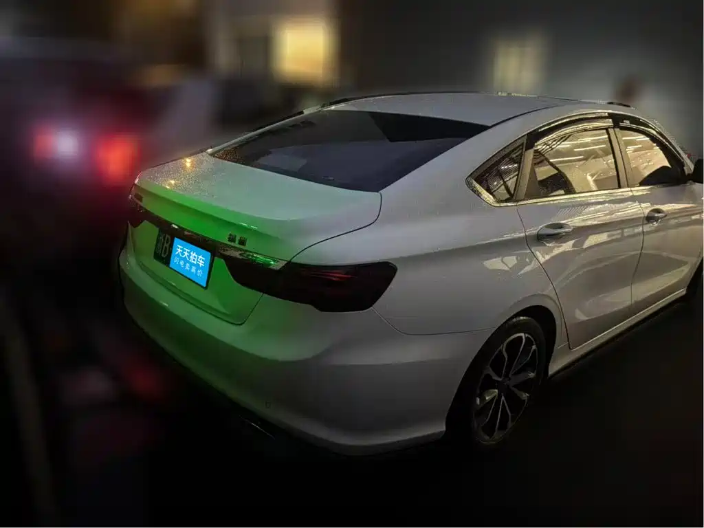 Фото 2 - Geely Binrui