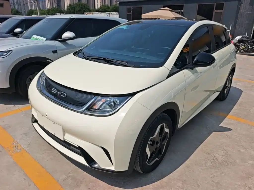 BYD Dolphin 2021 Model 405km Fashion Edition