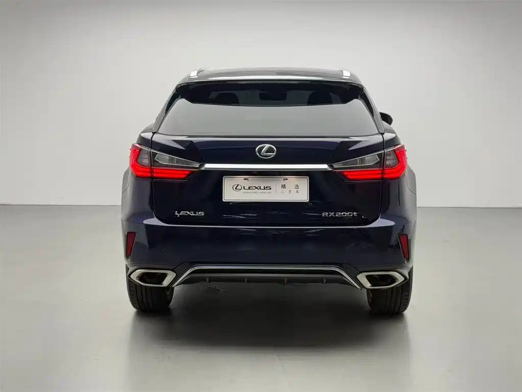 Lexus RX 2016 300 AWD F SPORT Edition China V фото 17