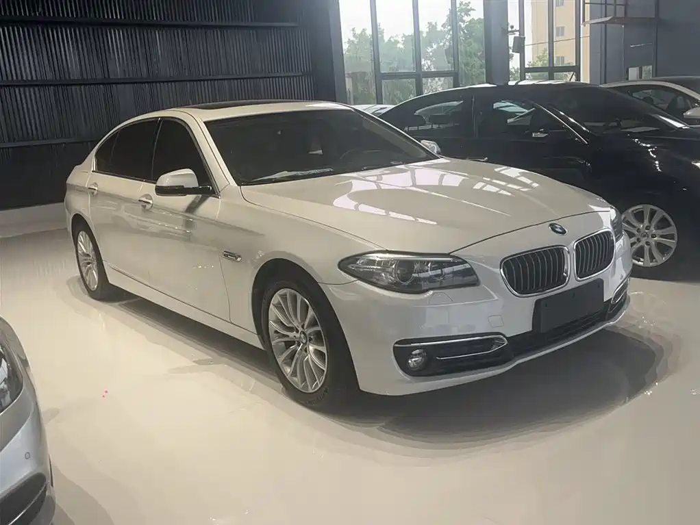 BMW 5 Series 2014 525Li Luxury Design Package фото 11