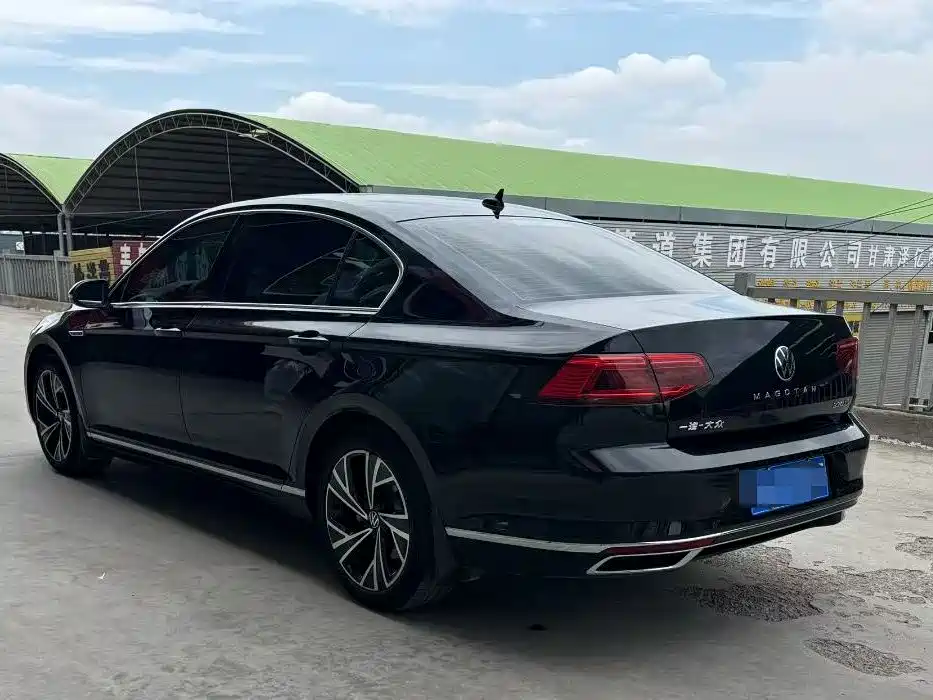 Volkswagen Magotan 2020 330TSI DSG Luxury фото 4