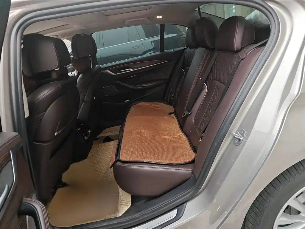 BMW 5 Series 2020 530Li Premium Luxury Package фото 15
