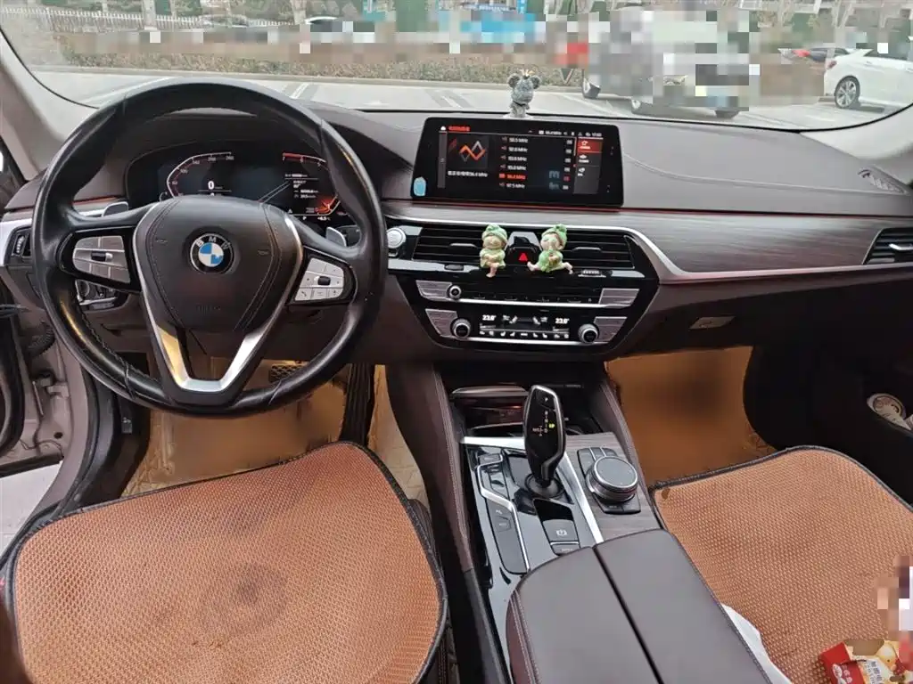 BMW 5 Series 2020 530Li Premium Luxury Package фото 13