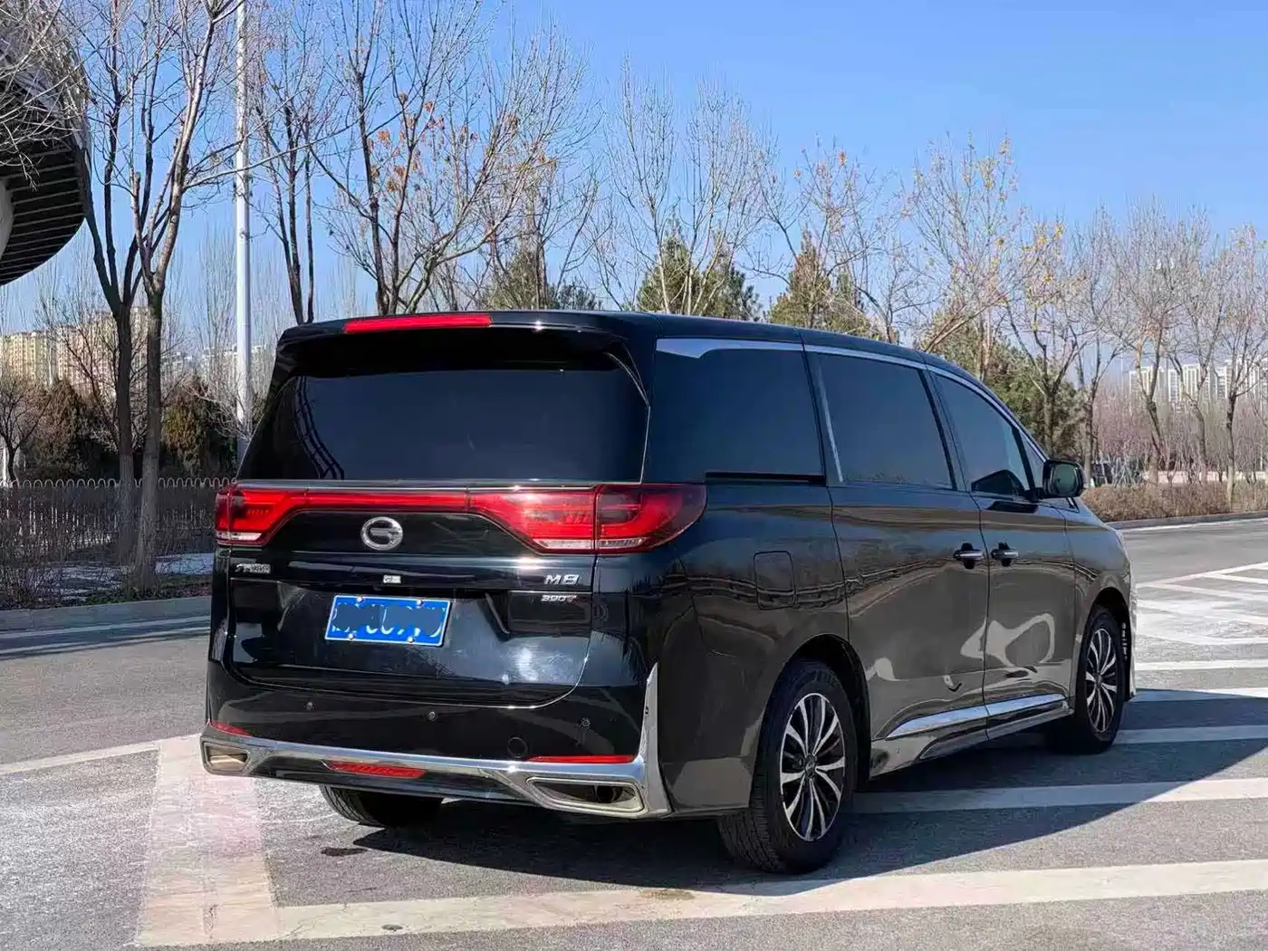GAC Trumpchi Trumpchi M8 2021 Leading Show Series 390T Premium Edition фото 10