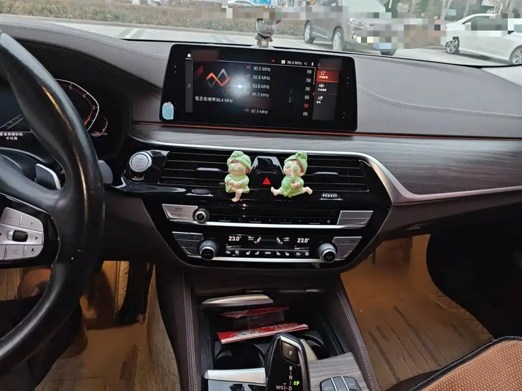 BMW 5 Series 2020 530Li Premium Luxury Package фото 6