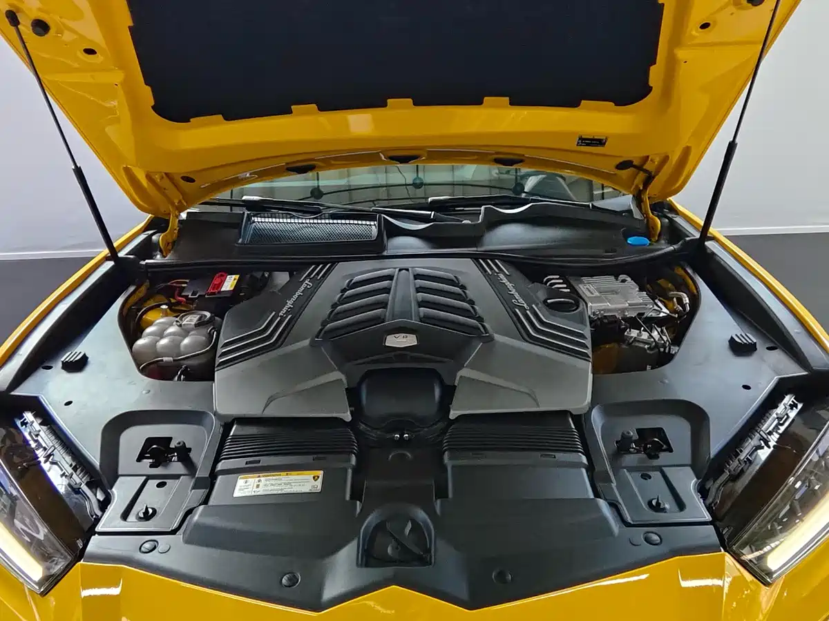 Lamborghini Urus 2021 4.0T V8 фото 19