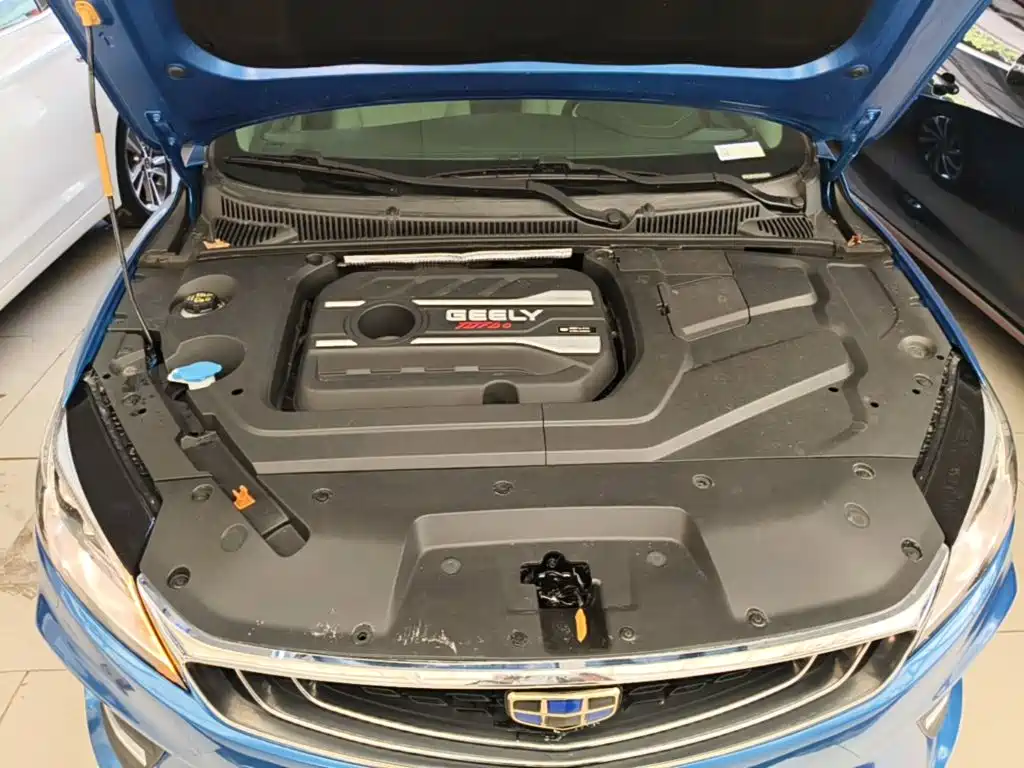 Фото 20 - Geely Binrui
